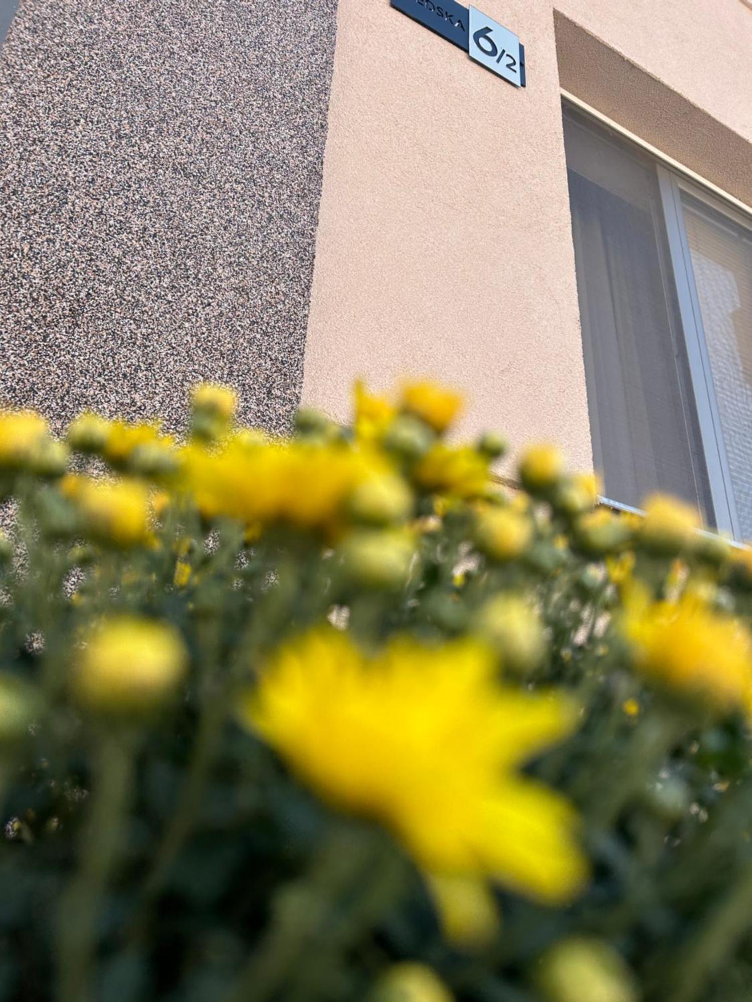 סובוטיקה Apartman Tara מראה חיצוני תמונה